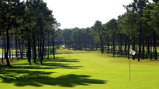 Aroeira Golf
Место:Aroeira
Фотография:Turismo de Portugal Aroeira Golf
Место:Aroeira
Фотография:Turismo de Portugal