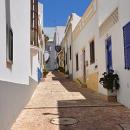 Centro da Cidade
LugarAlbufeira
Foto:Turismo do Alentejo Centro da Cidade
LugarAlbufeira
Foto:Turismo do Alentejo