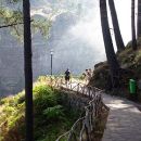 QPMadeira QPMadeira