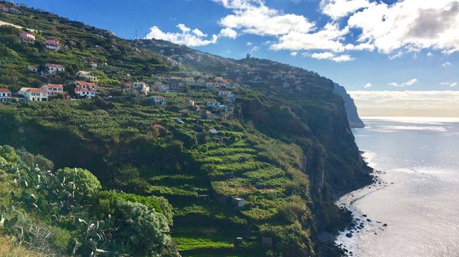 Conny & Ve Tours
Ort: Madeira
Foto: Conny & Ve Tours Conny & Ve Tours
Ort: Madeira
Foto: Conny & Ve Tours