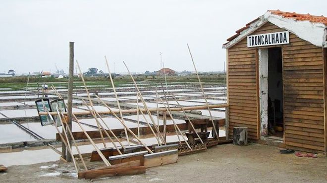 Ecomuseu da Marinha da Troncalhada
地方: Aveiro
照片: Câmara Municipal de Aveiro Ecomuseu da Marinha da Troncalhada
地方: Aveiro
照片: Câmara Municipal de Aveiro