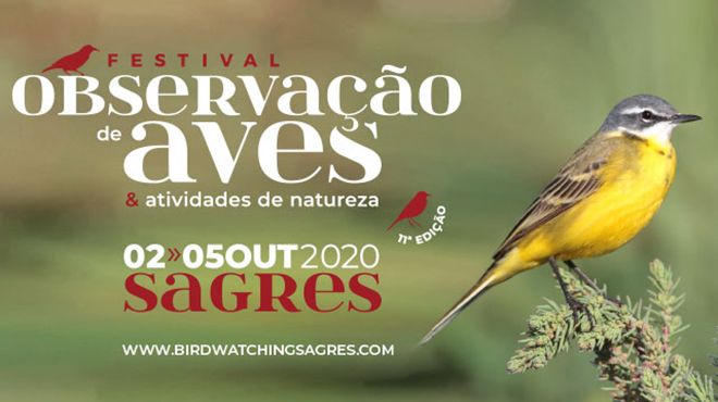 Festival de Observação de Aves 2020 Festival de Observação de Aves 2020