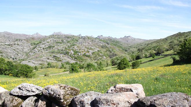 Go2Nature
Local: Ponte da Barca
Foto: Go2Nature Go2Nature
Local: Ponte da Barca
Foto: Go2Nature