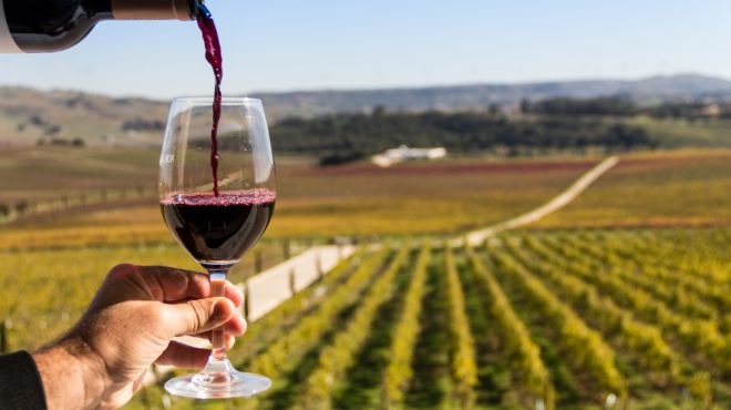 Prova de Vinhos_The Best Portugal
Foto: The Best Portugal Prova de Vinhos_The Best Portugal
Foto: The Best Portugal