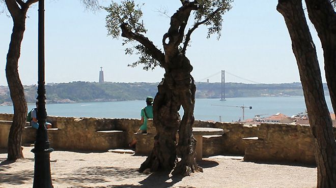 Lisbon Steps
Lieu: Lisboa
Photo: Lisbon Steps Lisbon Steps
Lieu: Lisboa
Photo: Lisbon Steps
