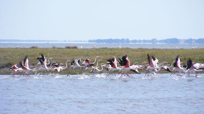 Megaverde, Lda Megaverde, Lda