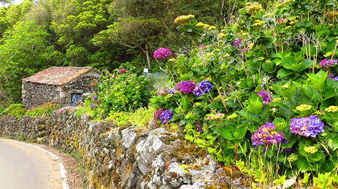 Delegação de Turismo - Terceira
Place: Açores
Photo: Floreesha - Turismo dos Açores Delegação de Turismo - Terceira
Place: Açores
Photo: Floreesha - Turismo dos Açores