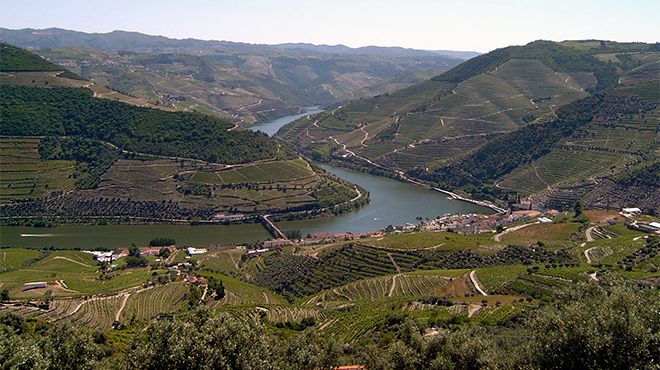 Cinco olhares sobre o Douro
Photo: Câmara Municipal de Alijó Cinco olhares sobre o Douro
Photo: Câmara Municipal de Alijó