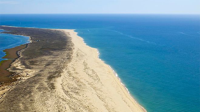 Praia da Ilha da Barreta / Ilha Deserta
Фотография: Turismo do Algarve Praia da Ilha da Barreta / Ilha Deserta
Фотография: Turismo do Algarve