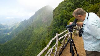 Birdwatching
Place: Floresta Laurisilva
Photo: Ventura Birdwatching
Place: Floresta Laurisilva
Photo: Ventura