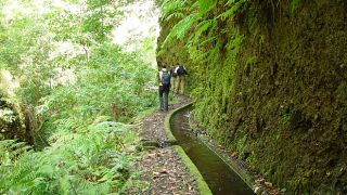 Levada
場所: Lombo do Urzal
写真: Turismo da Madeira Levada
場所: Lombo do Urzal
写真: Turismo da Madeira