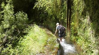 Levada
Lugar Madeira
Foto: Turismo da Madeira Levada
Lugar Madeira
Foto: Turismo da Madeira