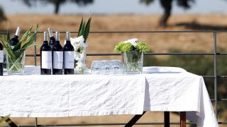 Herdade da Malhadinha Nova Country House & Spa
Lieu: Beja
Photo: Herdade da Malhadinha Nova Country House & Spa Herdade da Malhadinha Nova Country House & Spa
Lieu: Beja
Photo: Herdade da Malhadinha Nova Country House & Spa
