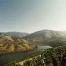 Douro
Place: Douro
Photo: Filipe Rebelo Douro
Place: Douro
Photo: Filipe Rebelo