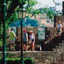 Castelo de Silves
Place: Silves
Photo: Turismo do Algarve Castelo de Silves
Place: Silves
Photo: Turismo do Algarve