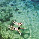 Limpid water
Ort: Barlavento
Foto: Turismo do Algarve Limpid water
Ort: Barlavento
Foto: Turismo do Algarve