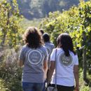 Quinta de Soalheiro Quinta de Soalheiro