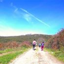 ontrail Algarve - Running Tours ontrail Algarve - Running Tours