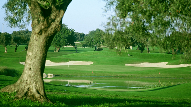 Quinta de Cima