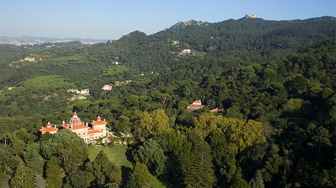 Palácio e Parque de Monserrate
照片: ATL- Turismo de Lisboa Palácio e Parque de Monserrate
照片: ATL- Turismo de Lisboa